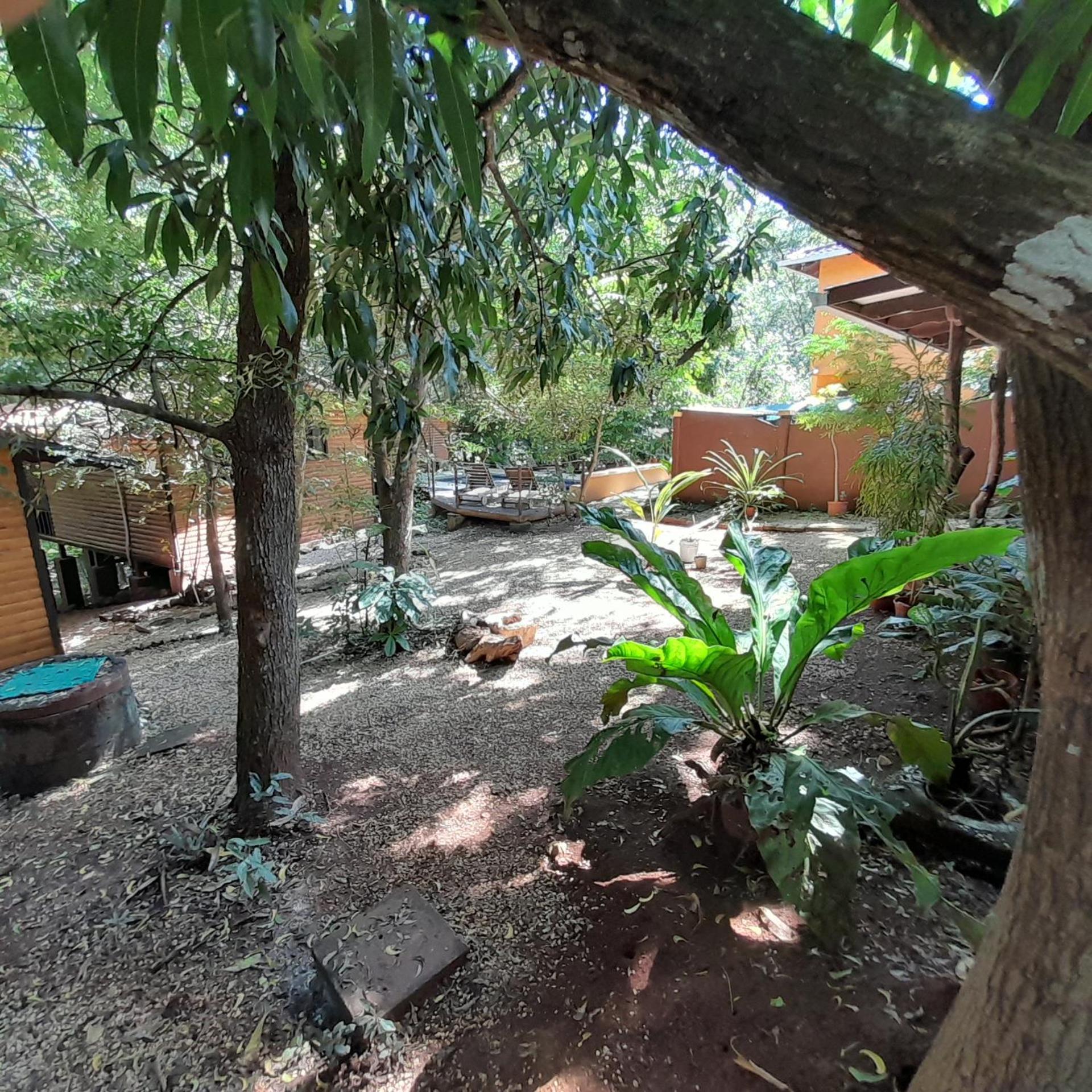 Hotel Cabinas La Playa Playa Avellana Exteriör bild