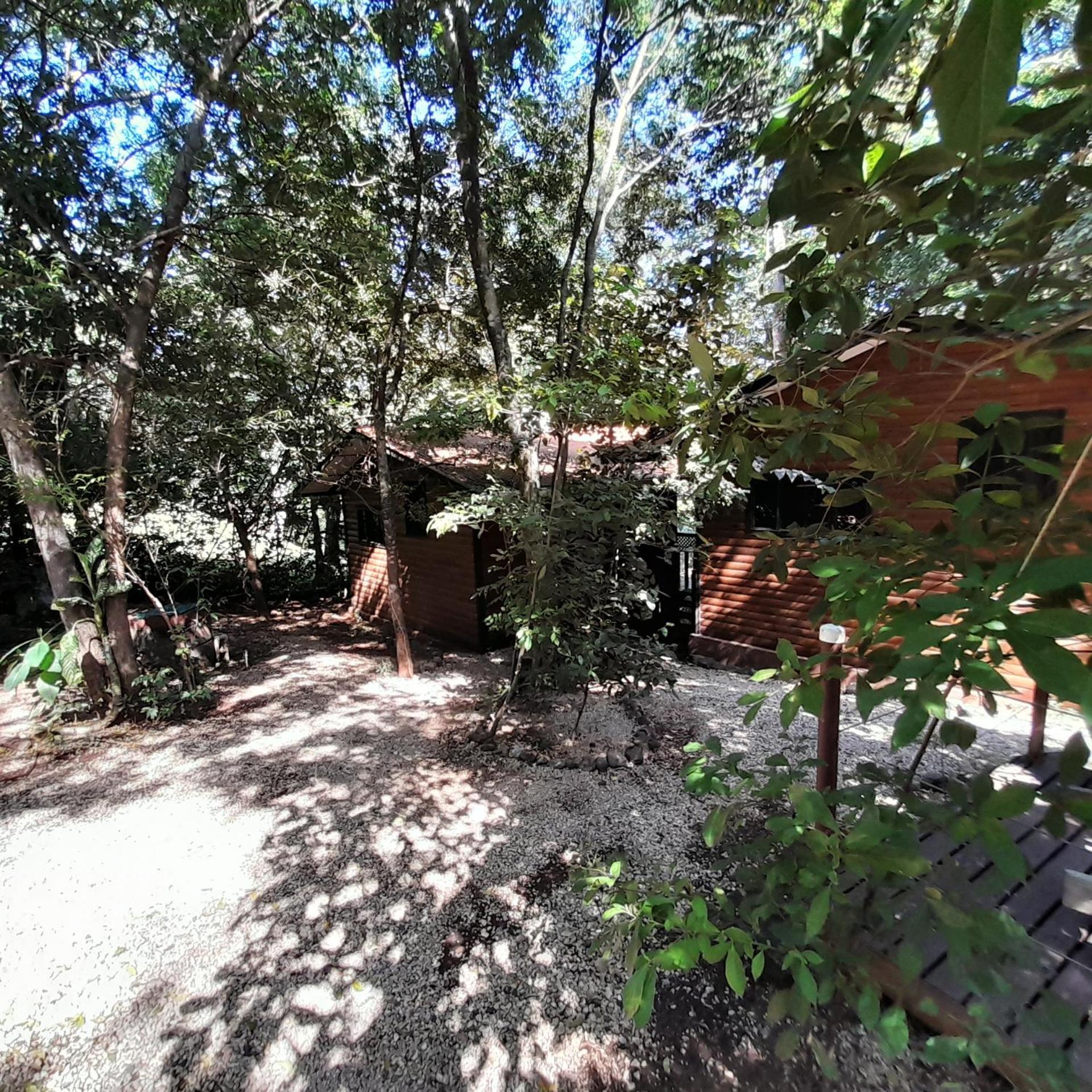 Hotel Cabinas La Playa Playa Avellana Exteriör bild